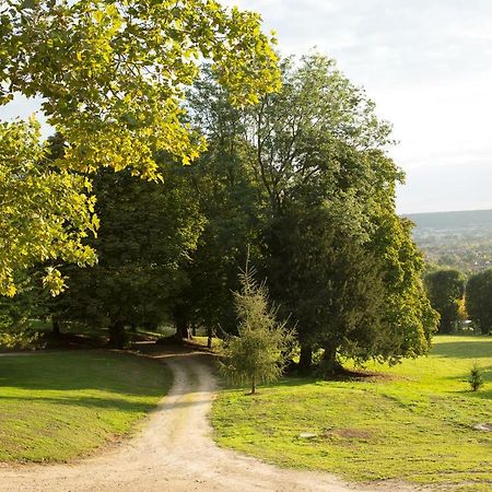 La Clairiere De La Reine Hortense - Pierres D'Histoire Saint-Prix  Eksteriør bilde